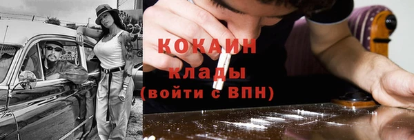 шишки Богданович