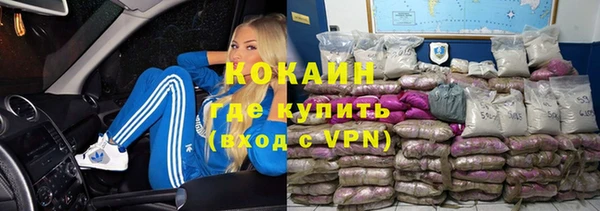 шишки Богданович