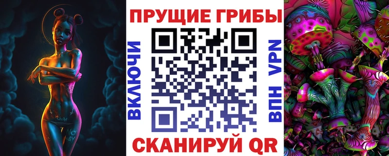 дарнет шоп  блэк спрут как зайти  Галлюциногенные грибы мицелий  Курск 